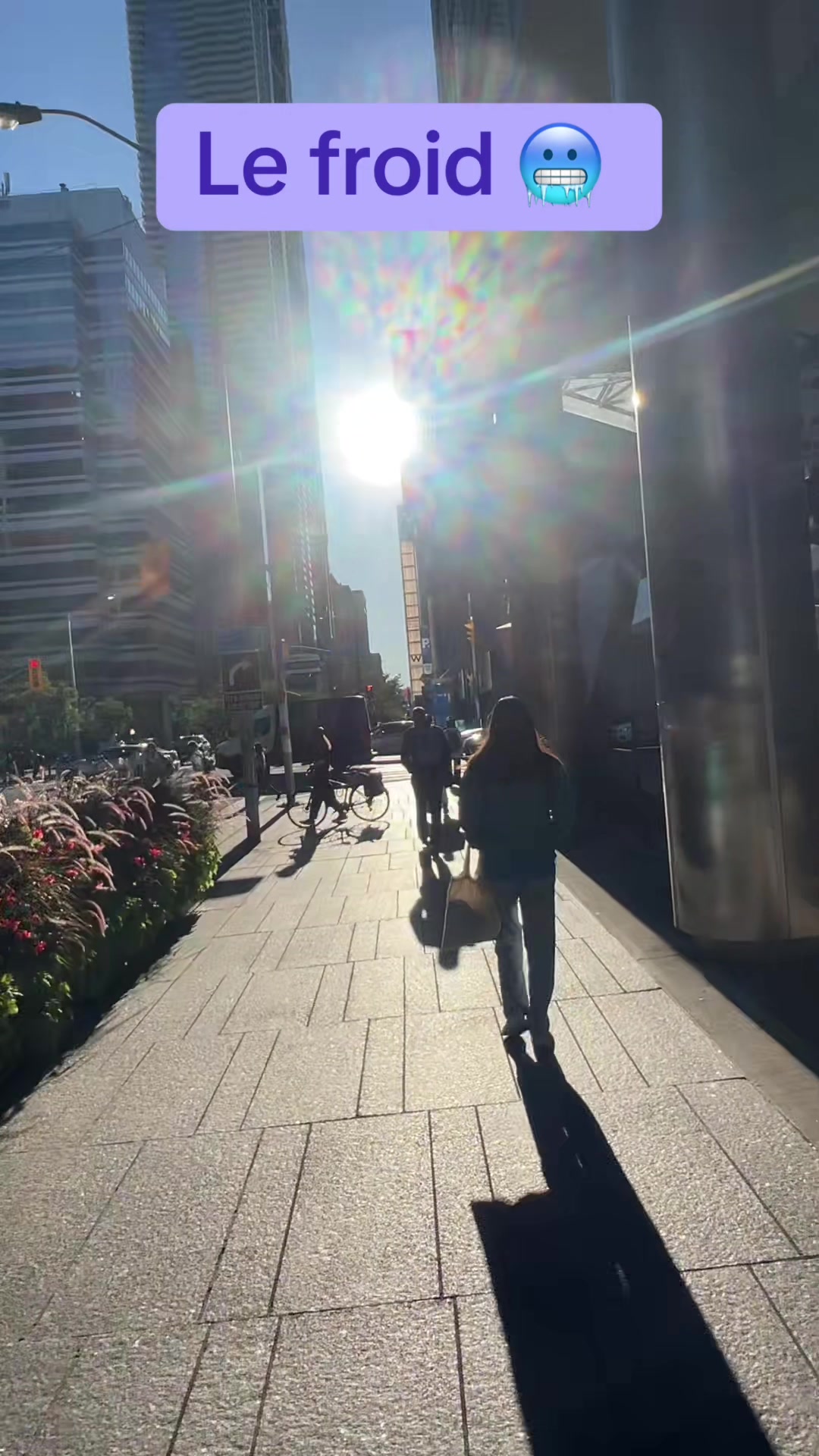 @Cacao de | Toronto 🇨🇦🥶
