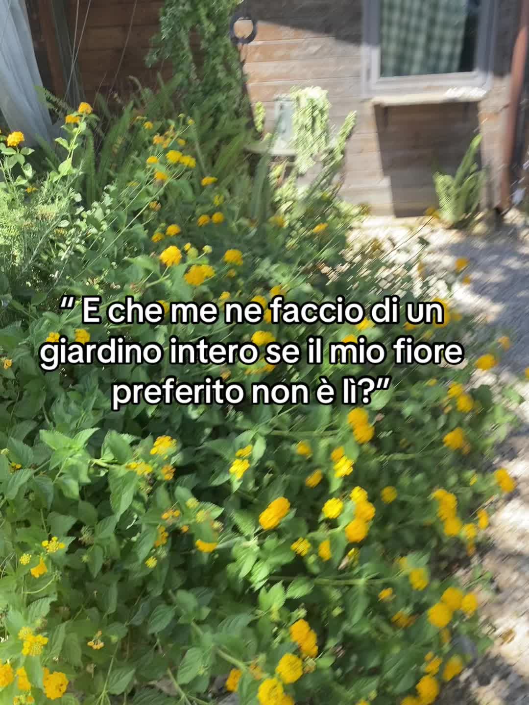 @Raffaela Del Gaudio