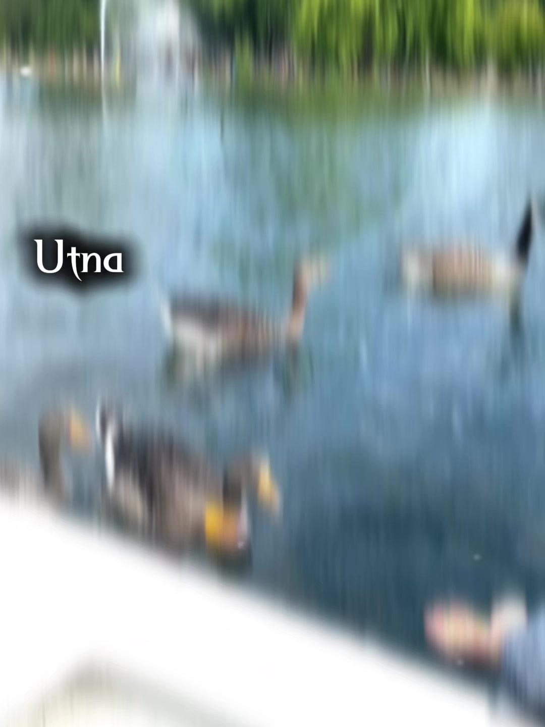 @RumanaAzed