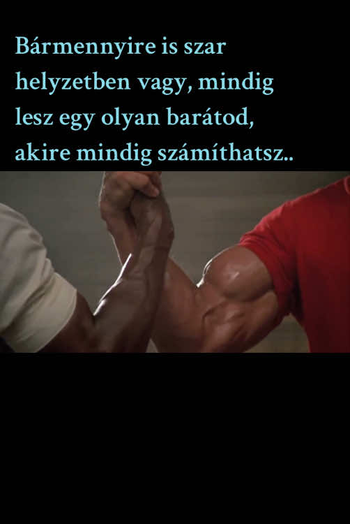 @buczivok