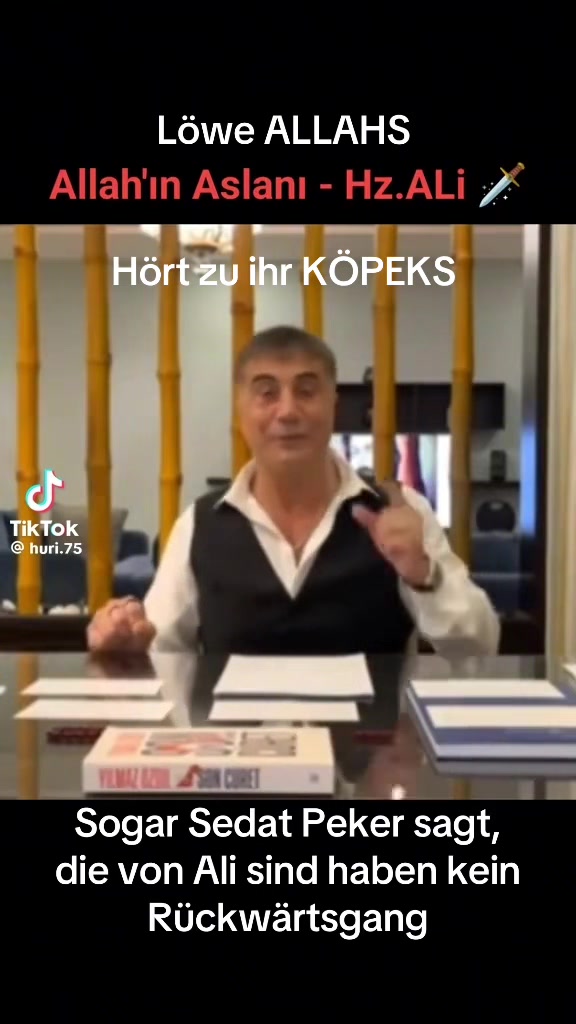 @BOZO 313