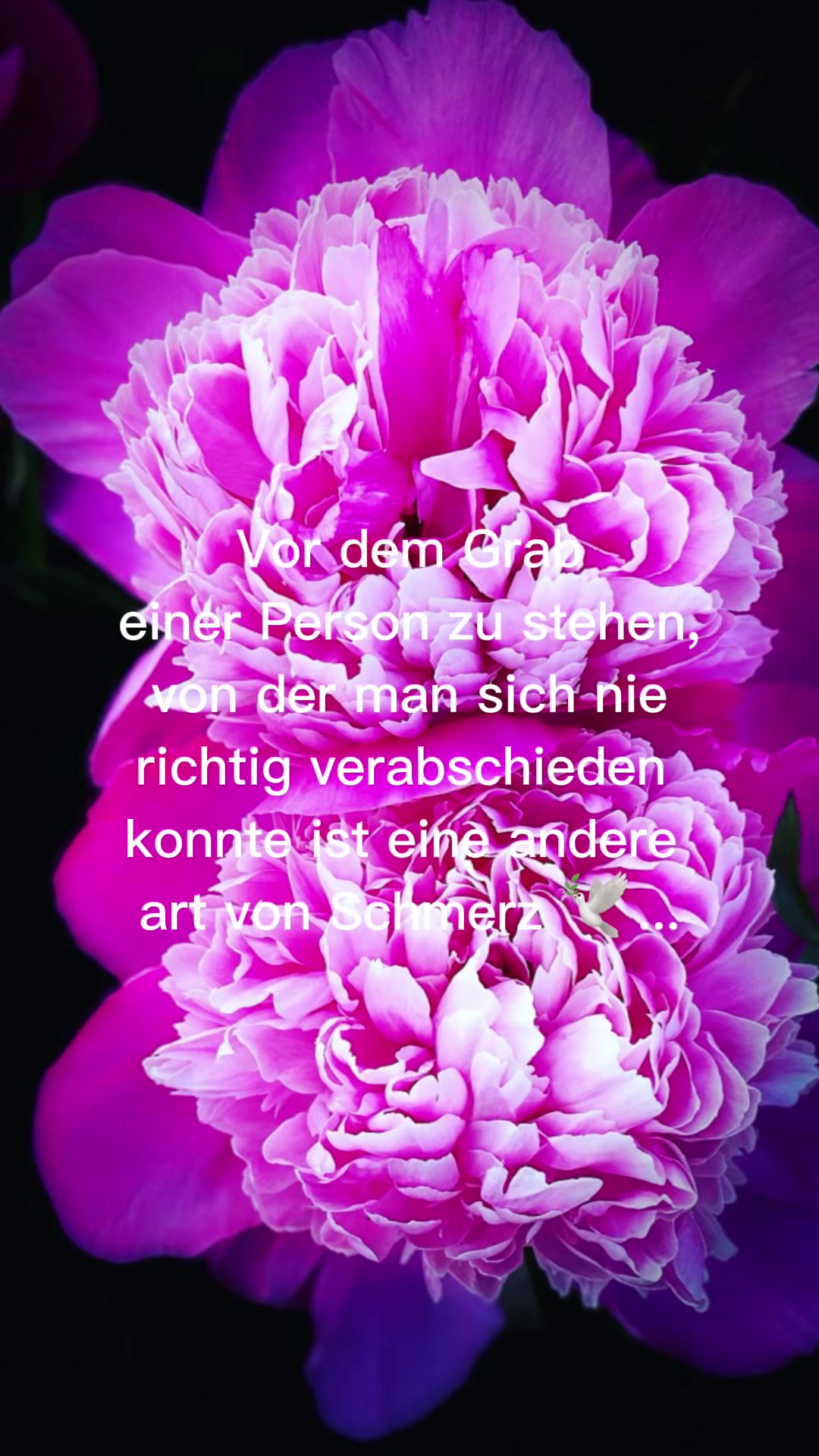 @Official Undercout