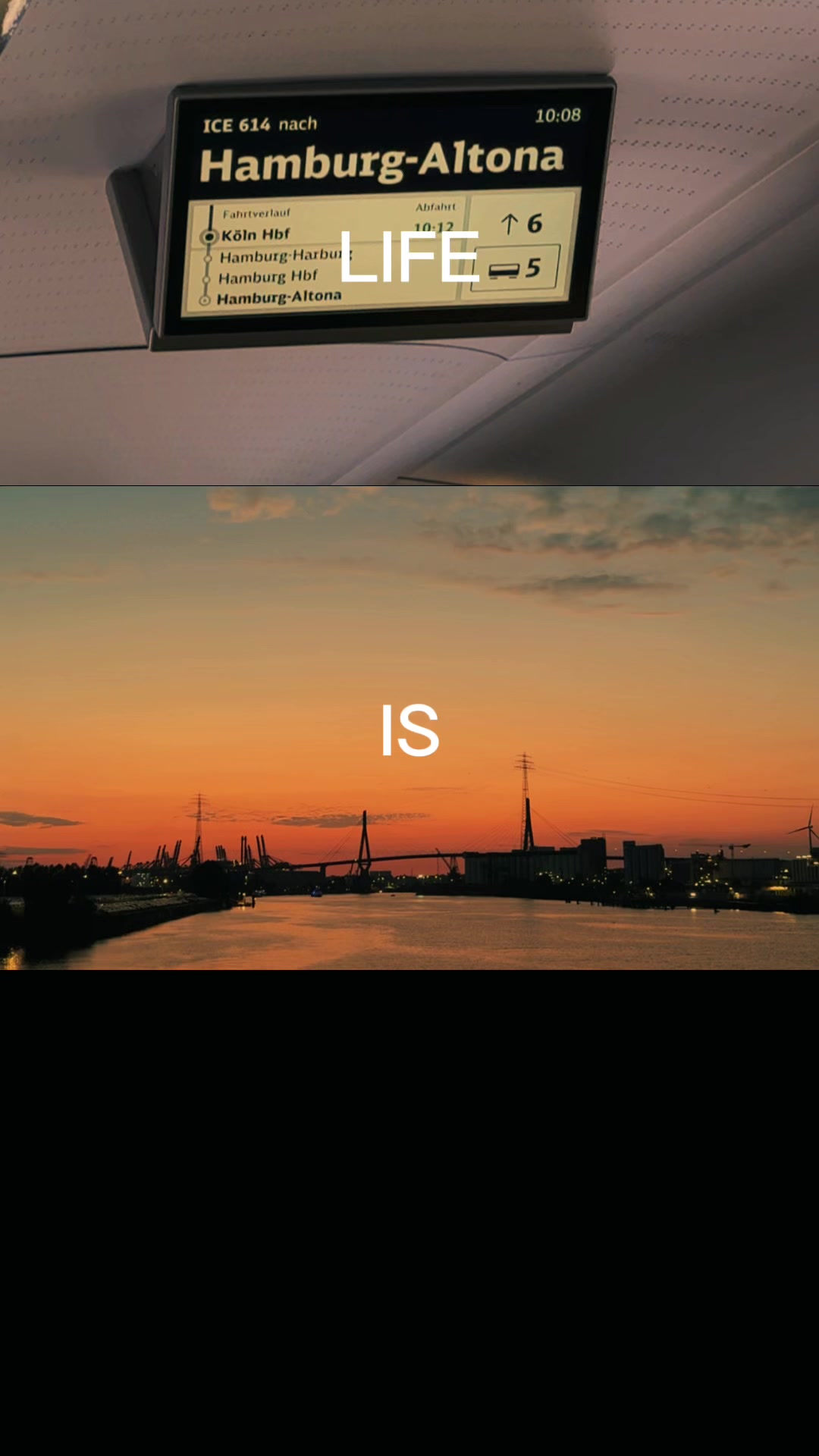 @Luca🐬