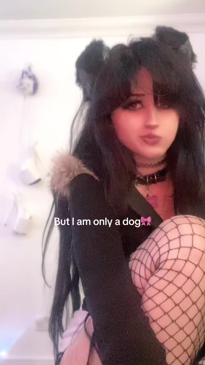 @r4venbarkz