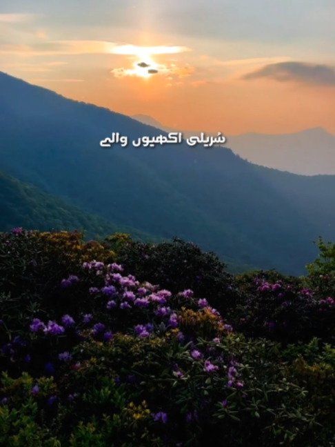 @𝗜𝗱𝗲𝗮𝗹 𝗔𝗱𝘀 𝟮.𝟬