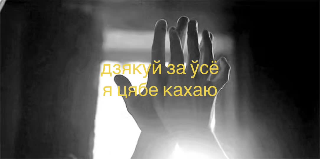 @₍^. .^₎⟆