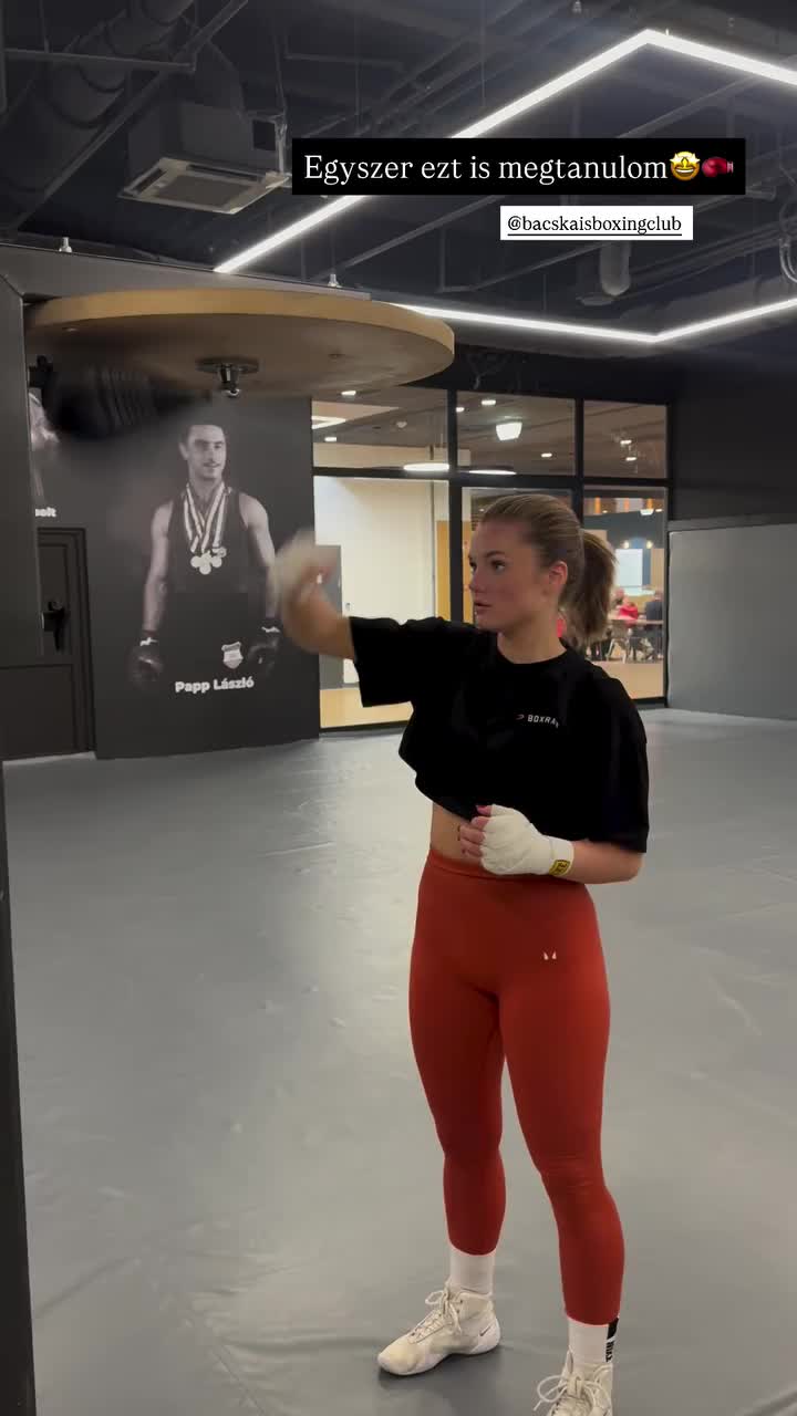 @papdorci