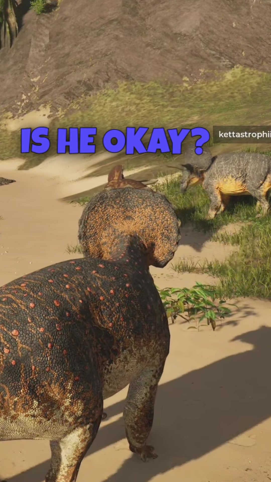 @MrGibbon
