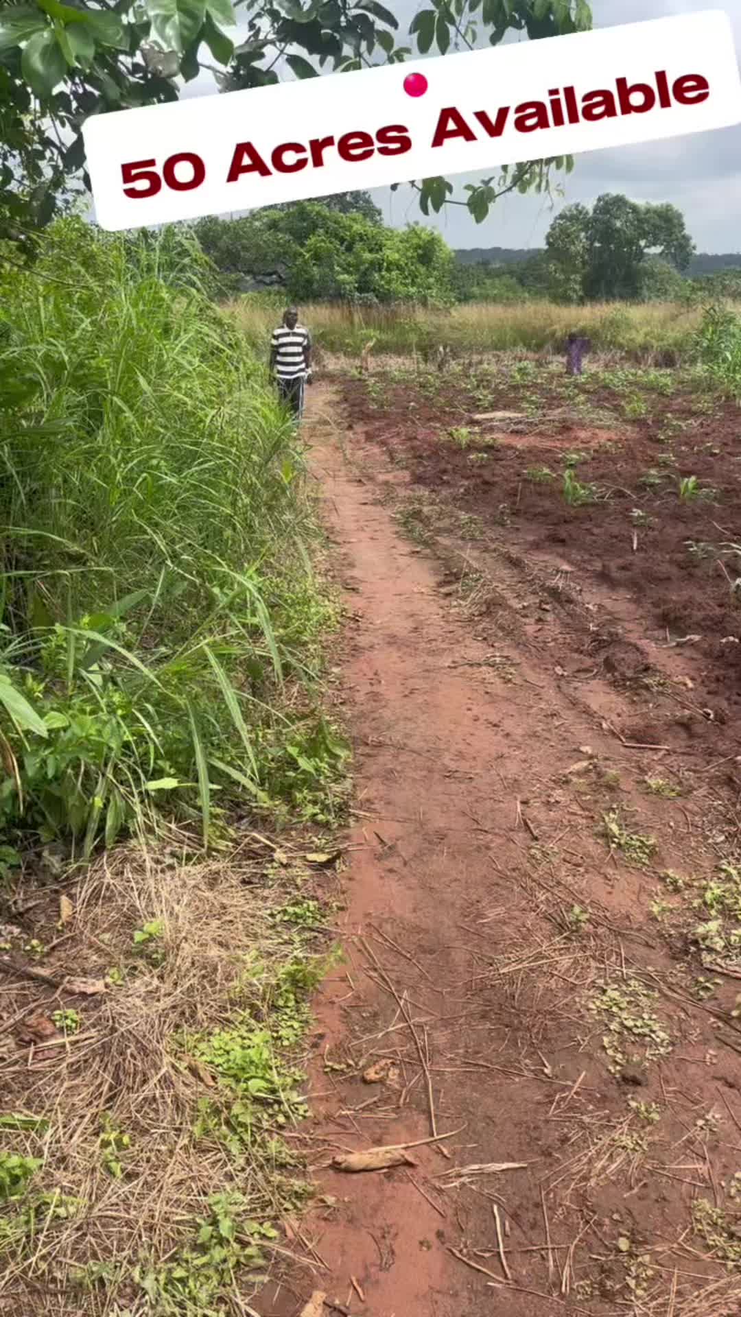 @BabaObaTv @Yuki Agro limited
