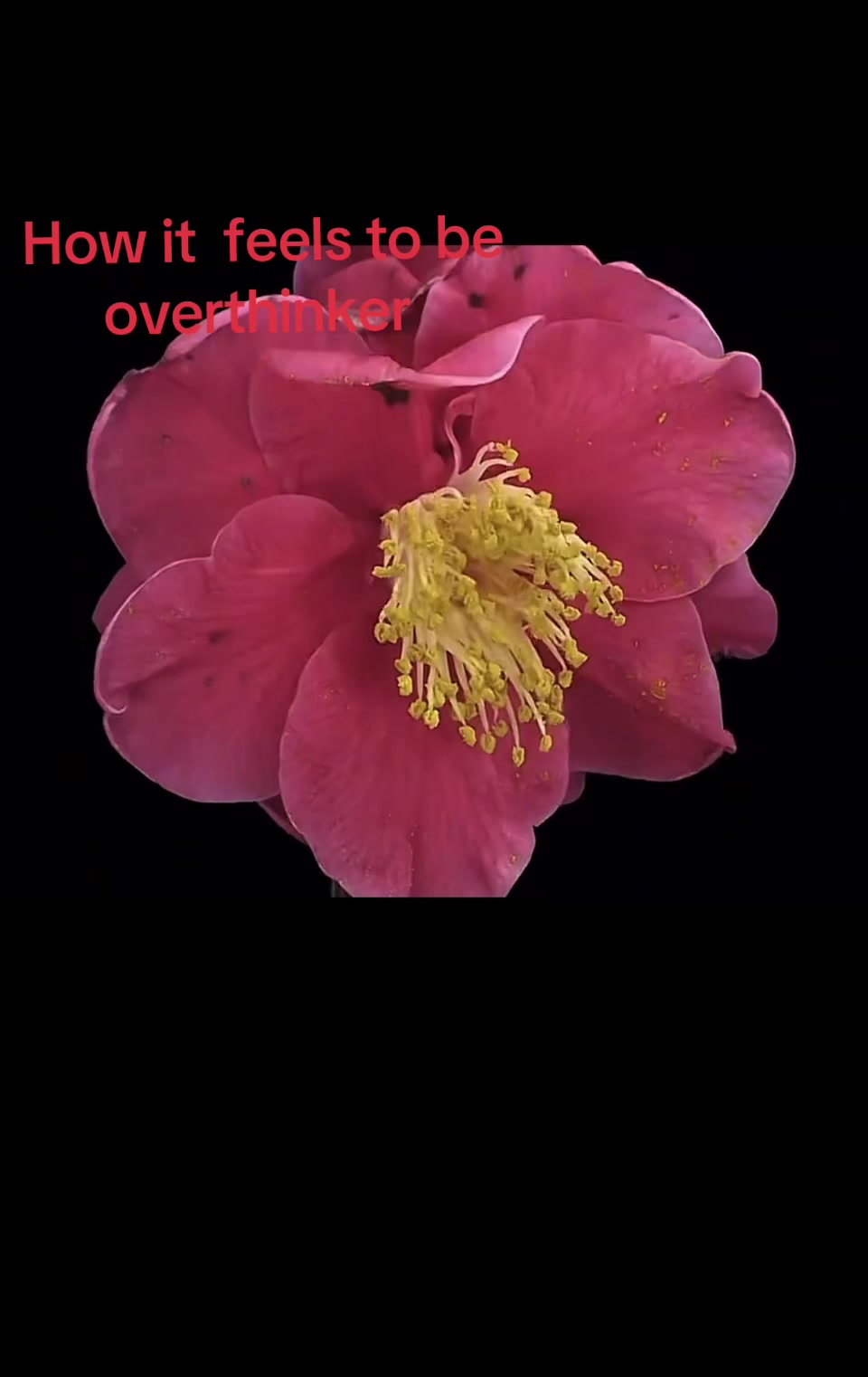 @🥊