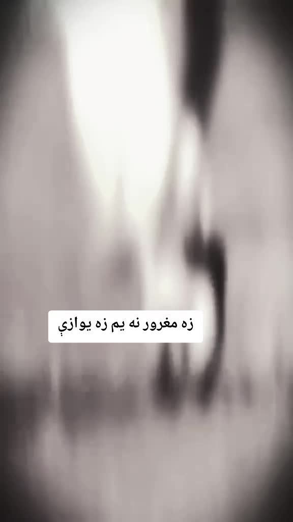 @`.`~☆~`.`
