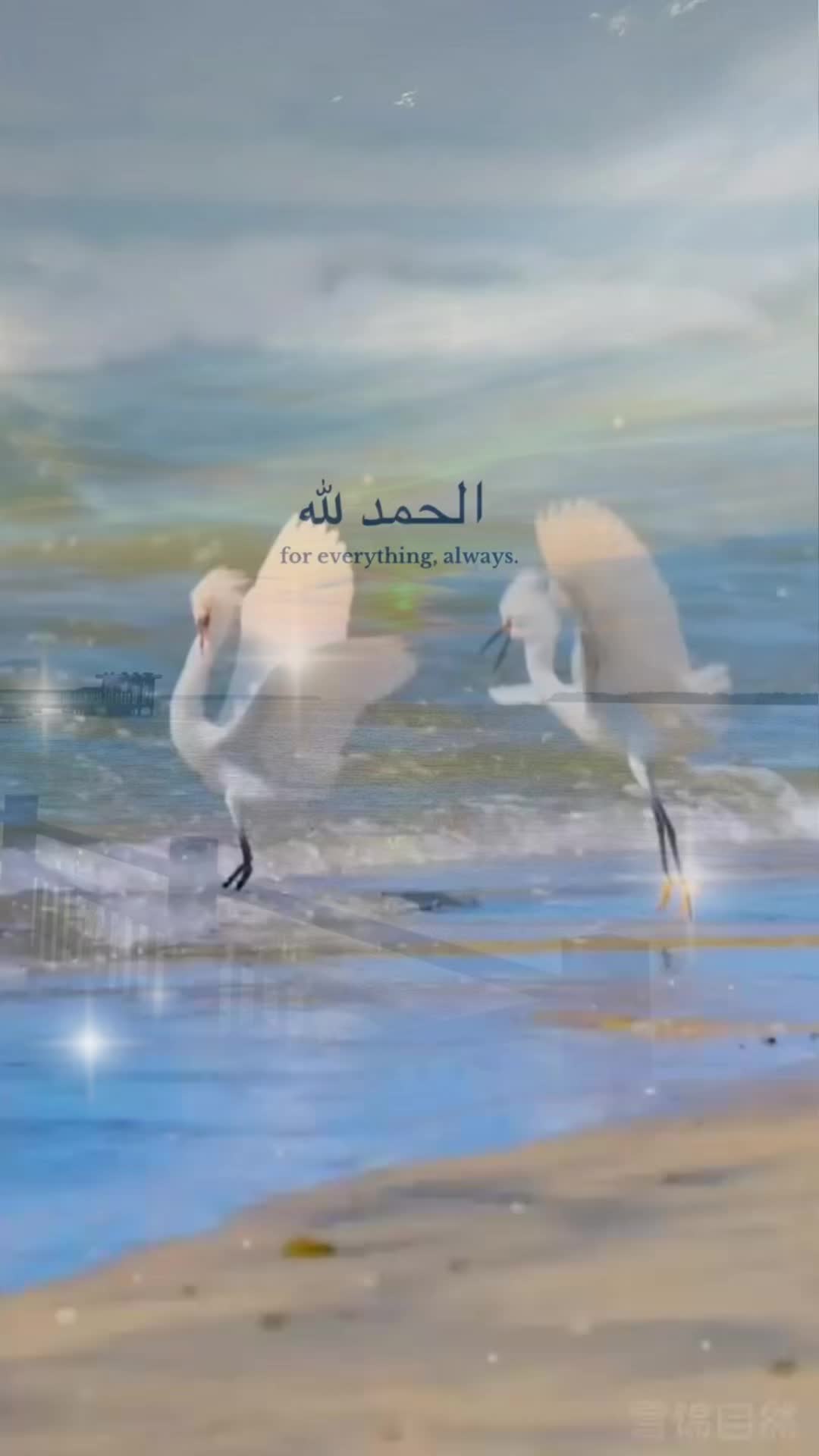 @DeenoverDunya🕊️