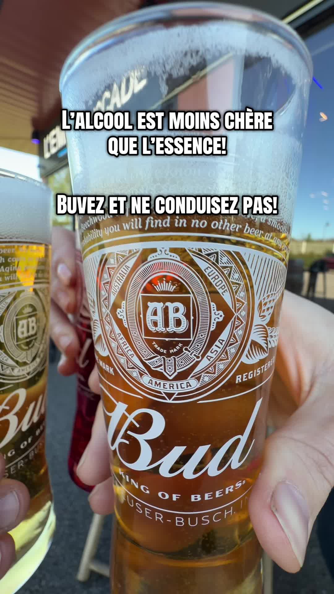 @L'embuscade de la Goële