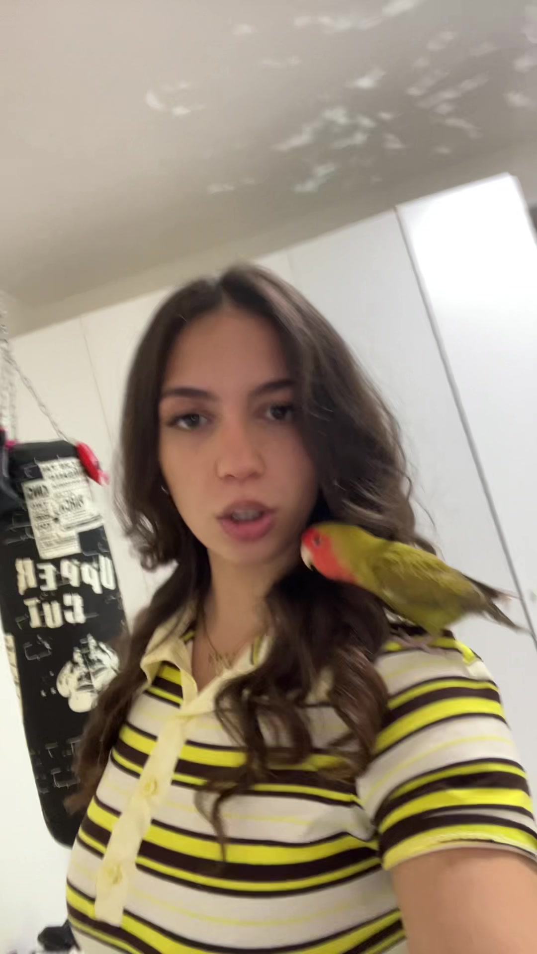 @male😽🇧🇷