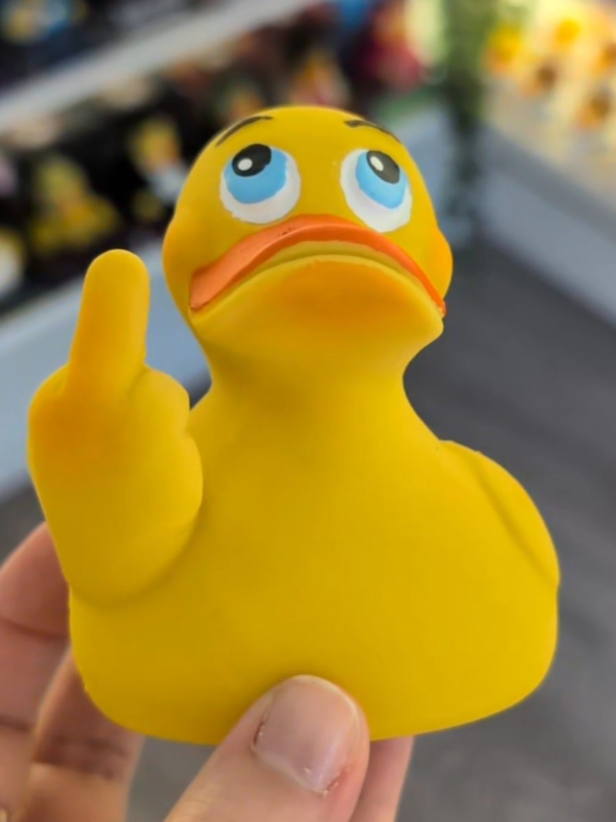 @Killarney Duck Store