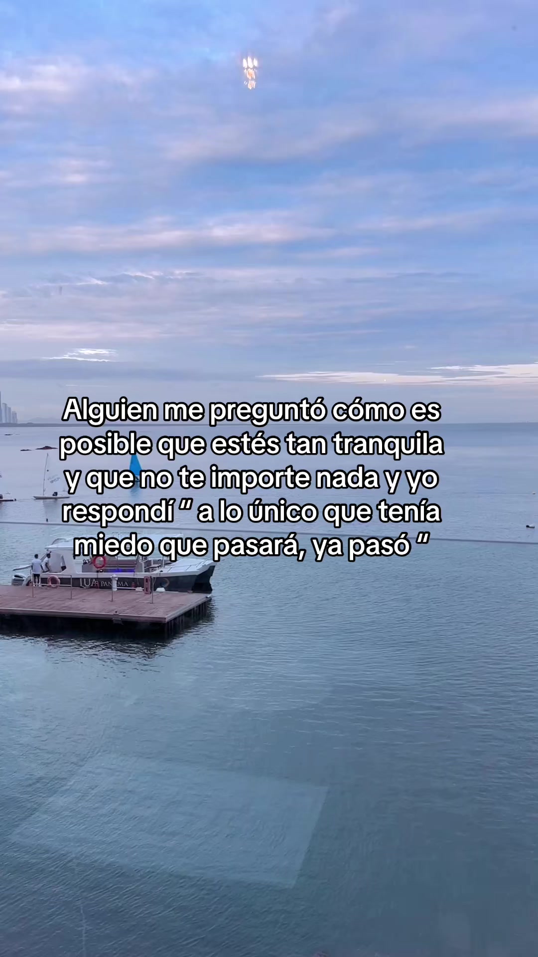 @MiaMoreira