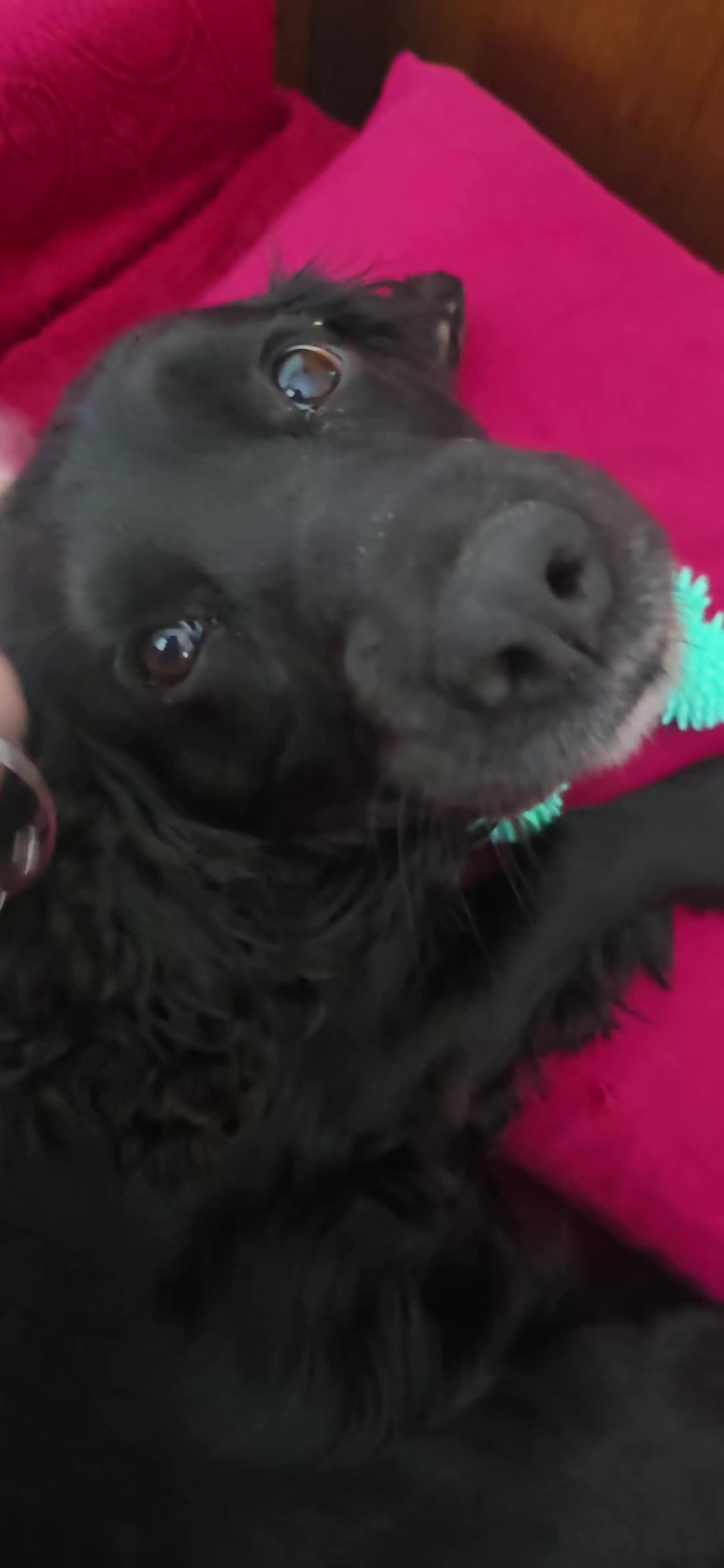 @Chiara Verdigi Bar Chiara 🍸