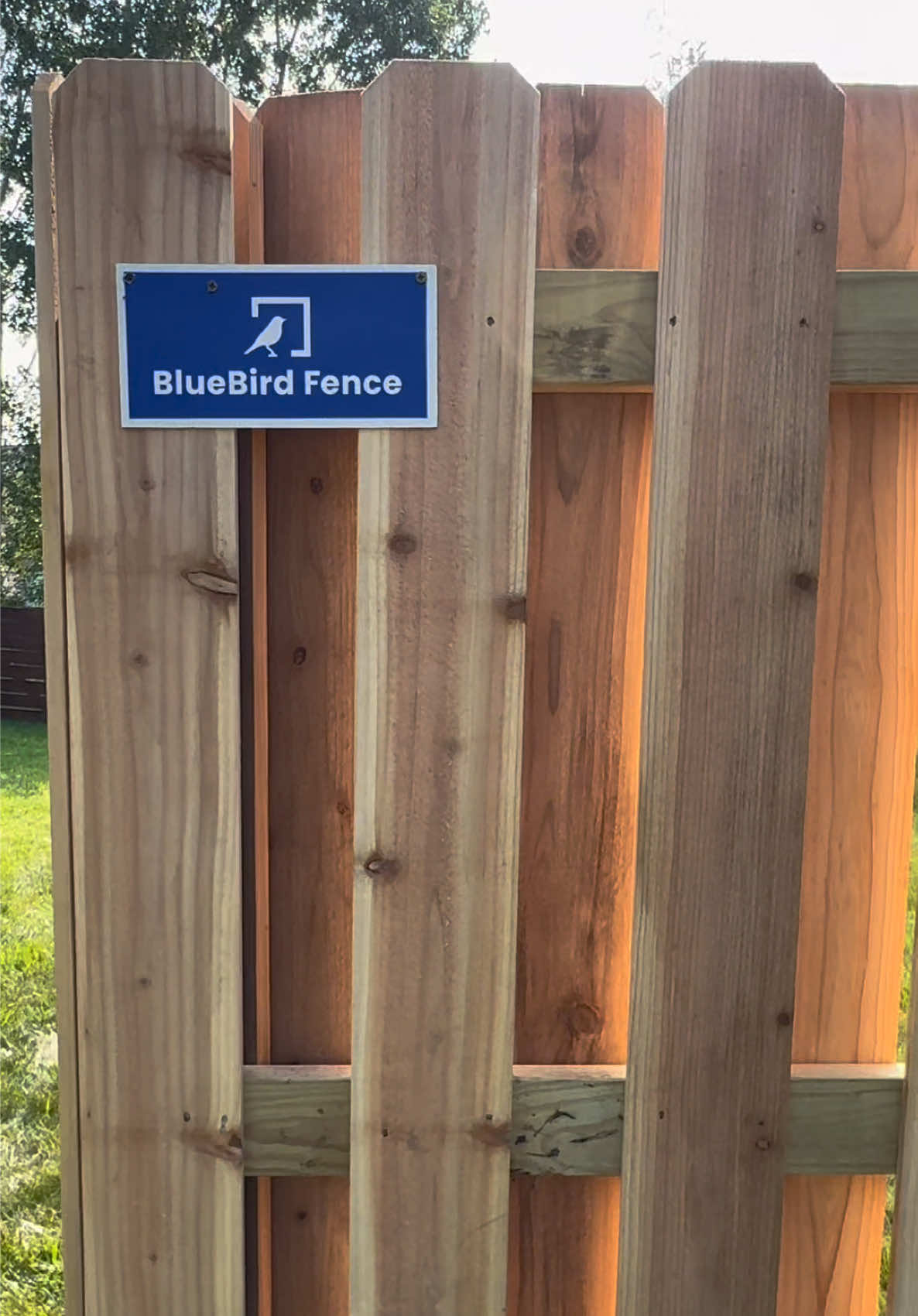 @BlueBird Fence