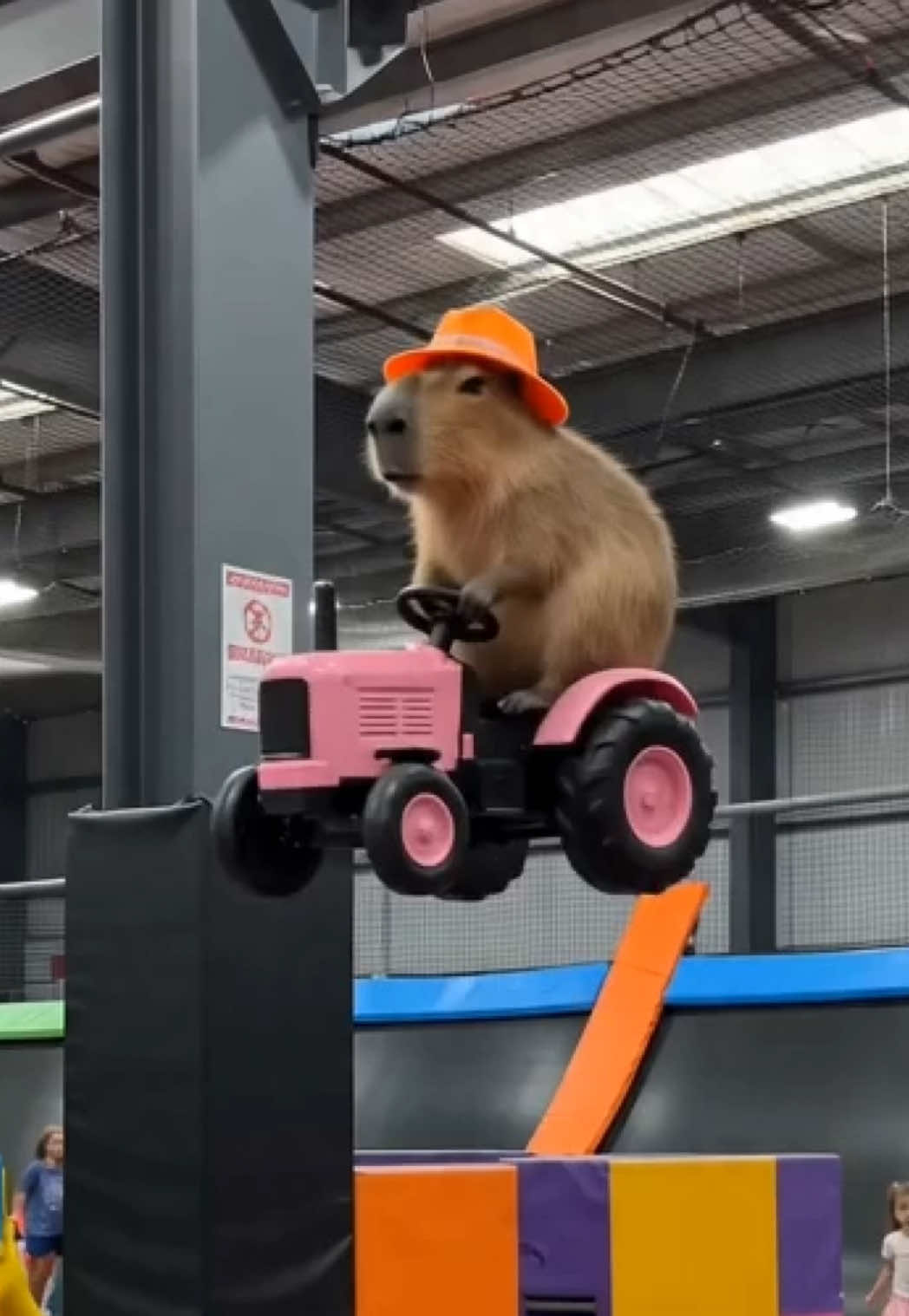 @Ollie The Capybara