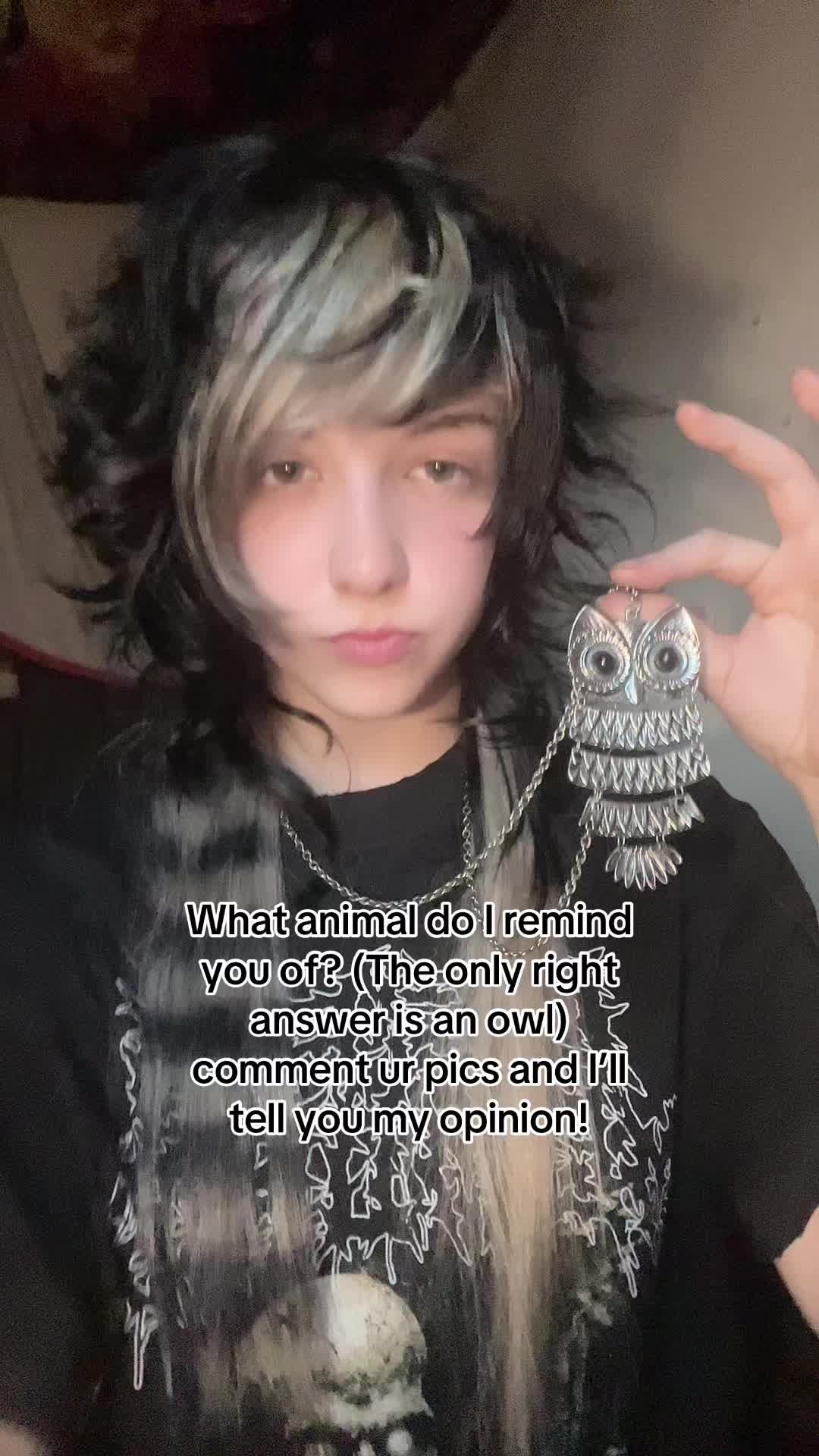 @Linkie
