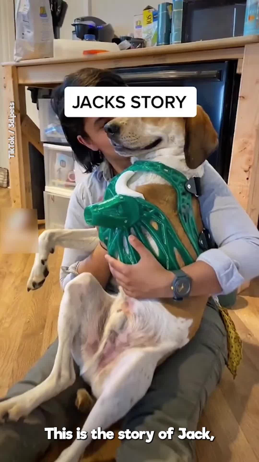 @Go Fetch