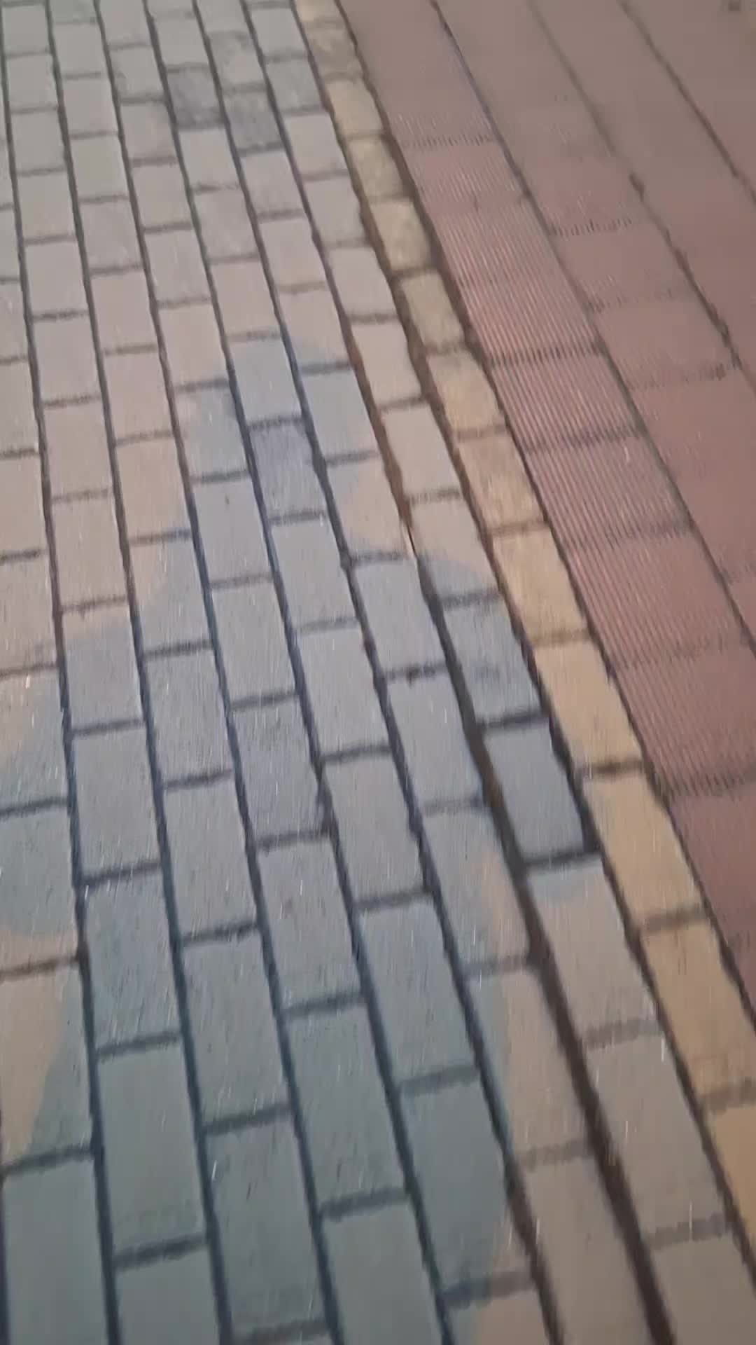 @Balazs806