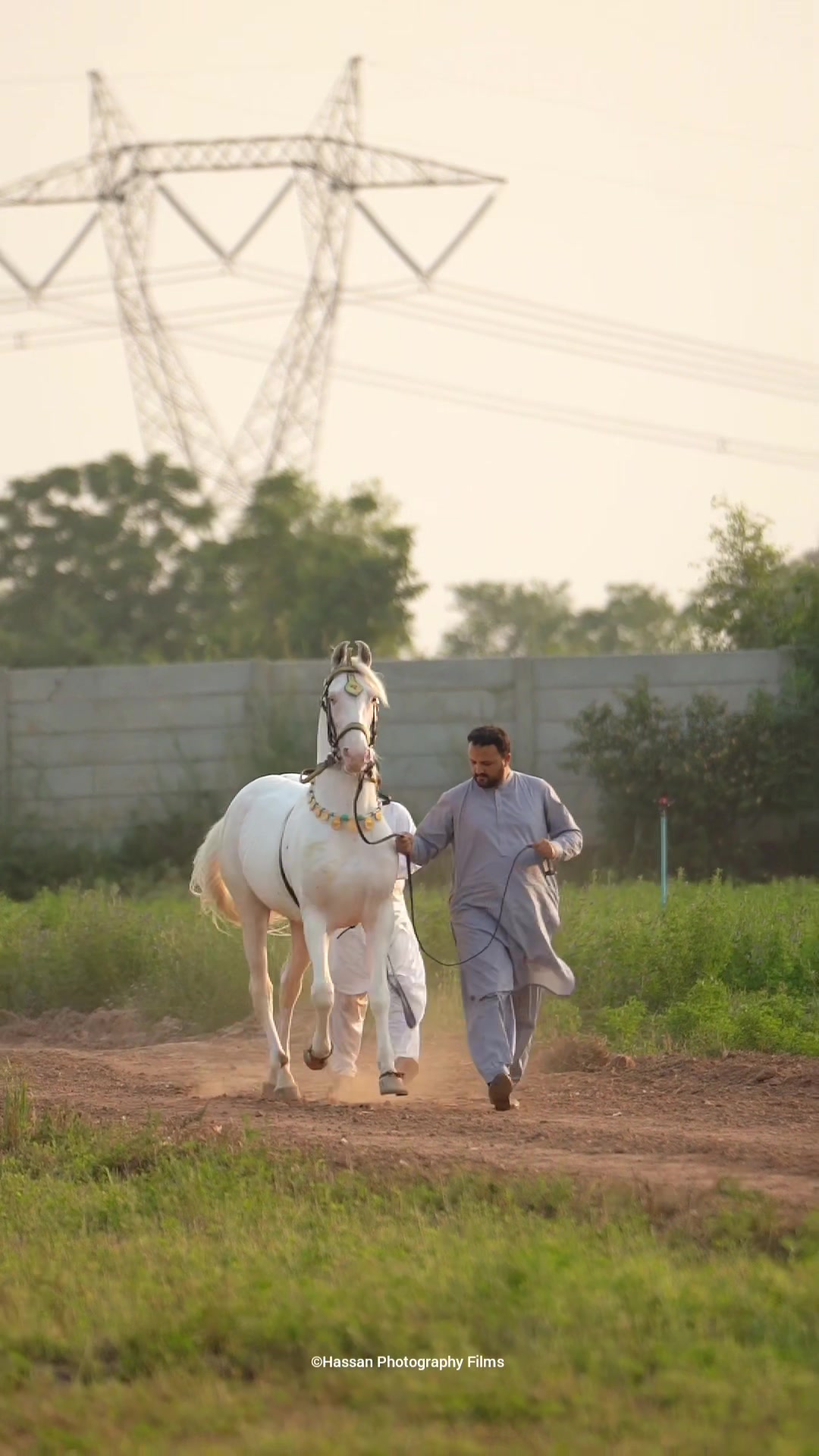 @☀️SUNRISE 🐎FARMS Rawalpindi