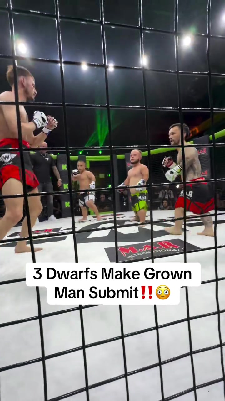 @FightingLab