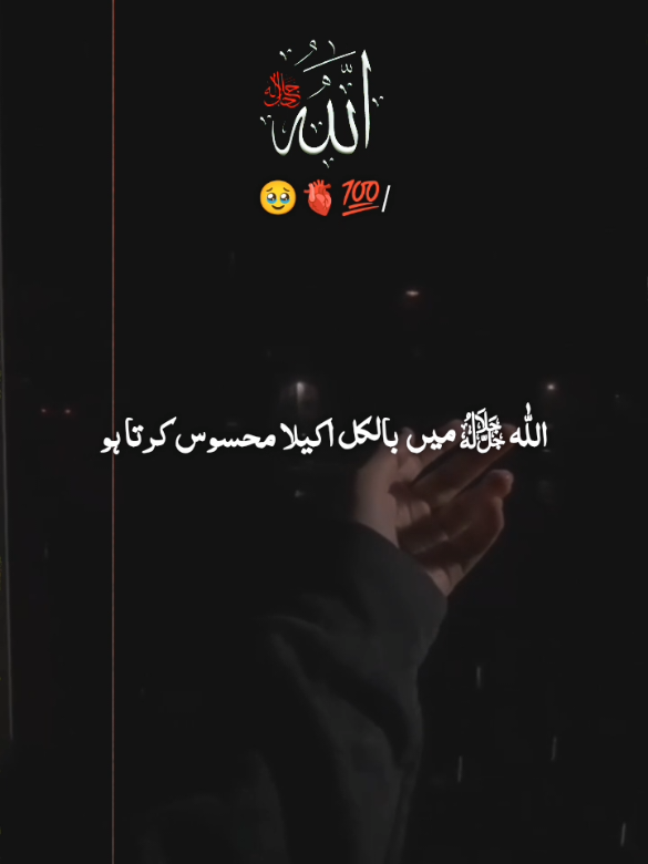 @راجه لقمان 🦅