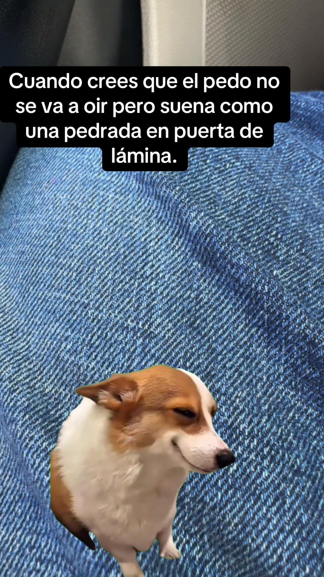@Hernandez18-2 memes y mas