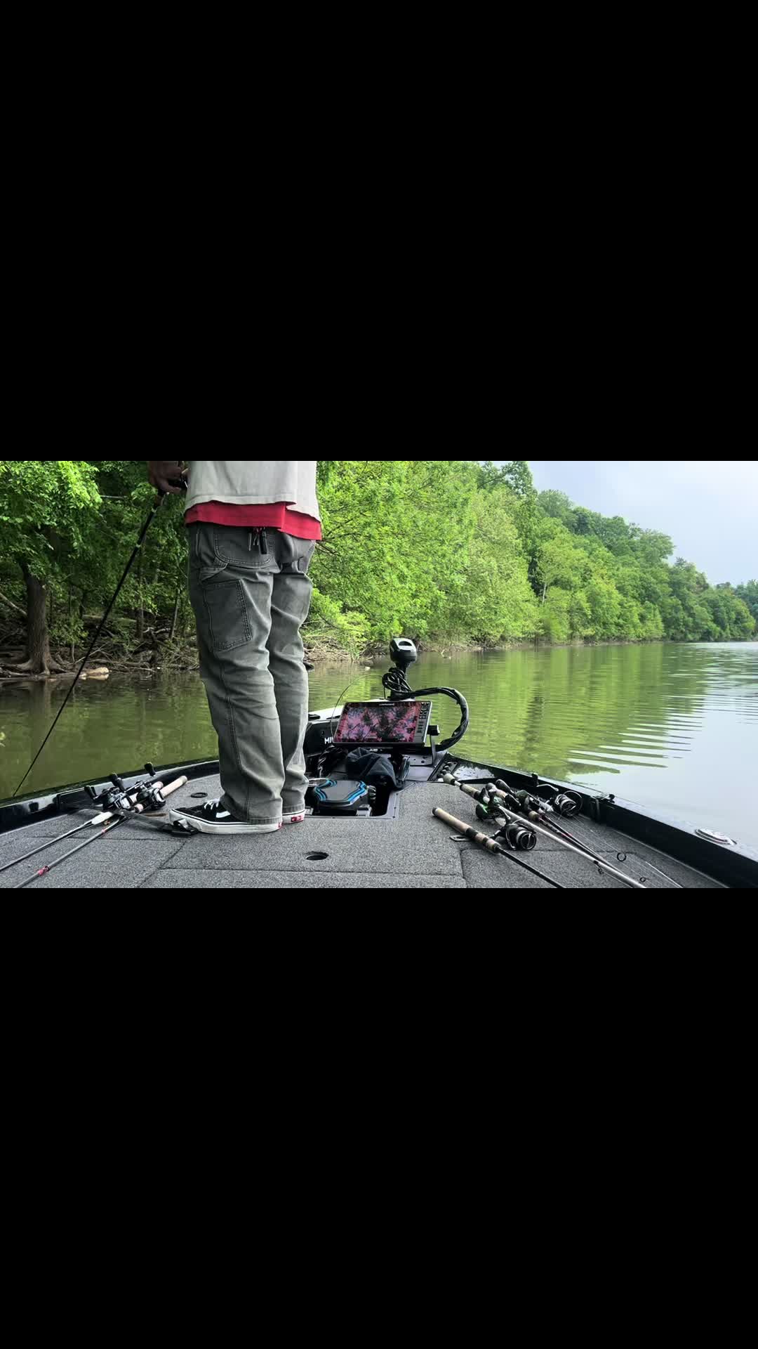 @bassnboards