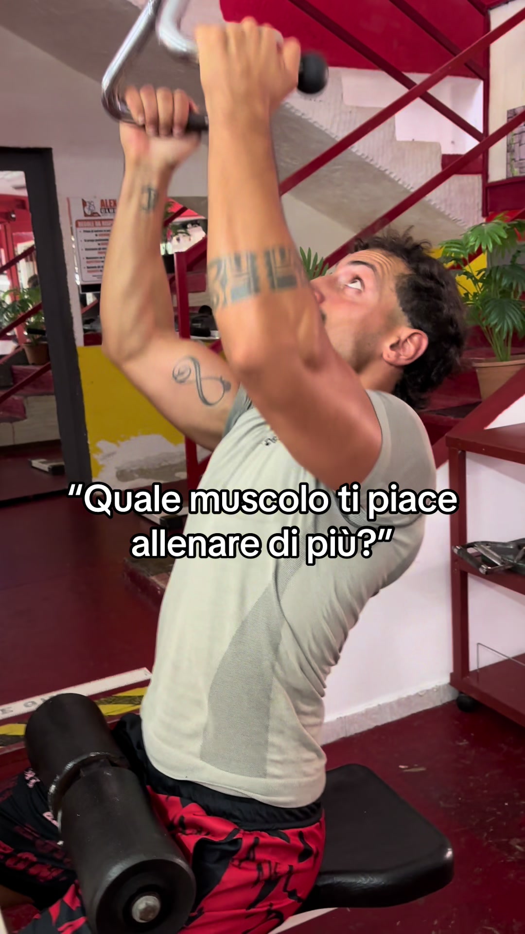 @Gianluca Mollo