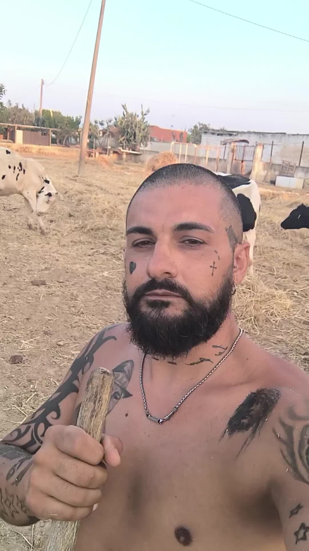 @Danieledipalmo