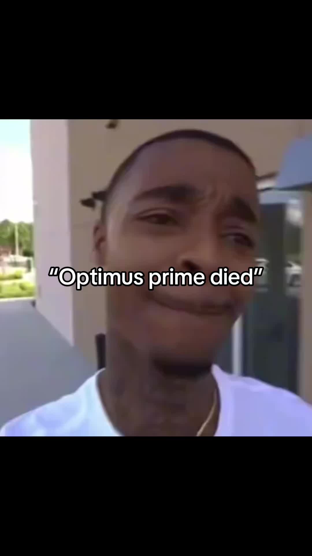 @Bisharzaza 𓅓