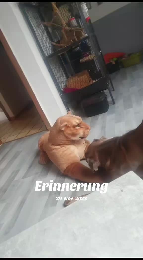 @nala23