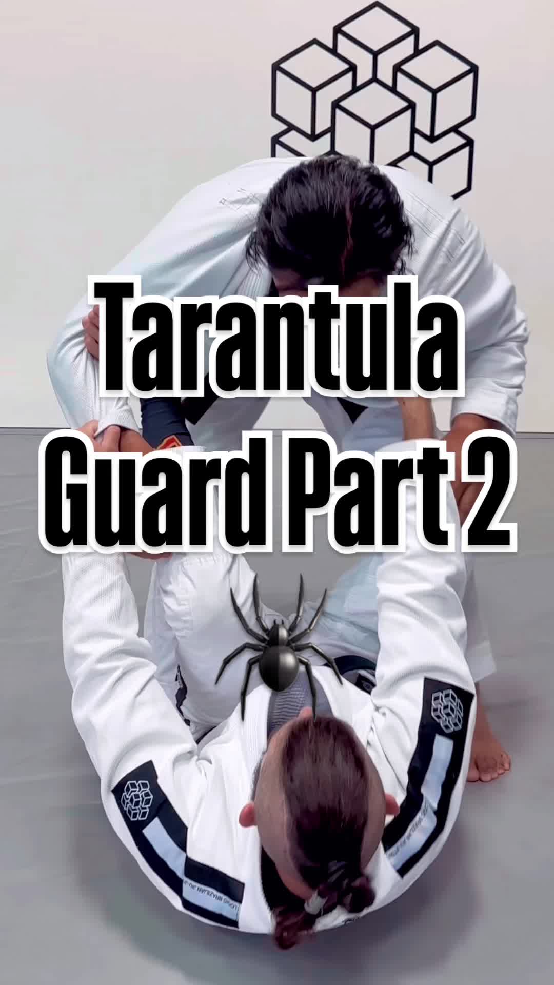 @Benceps BJJ