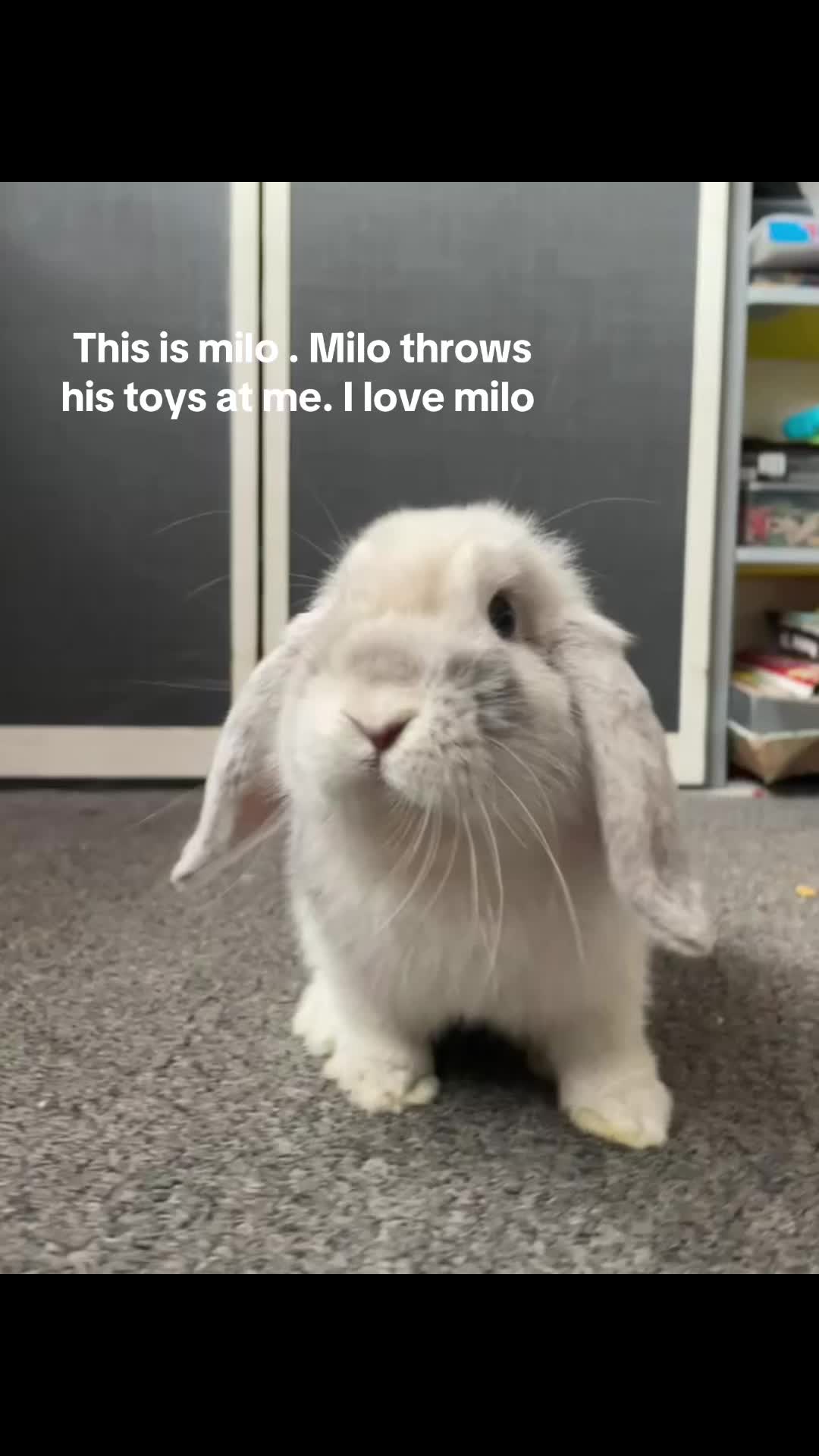 @M🪽