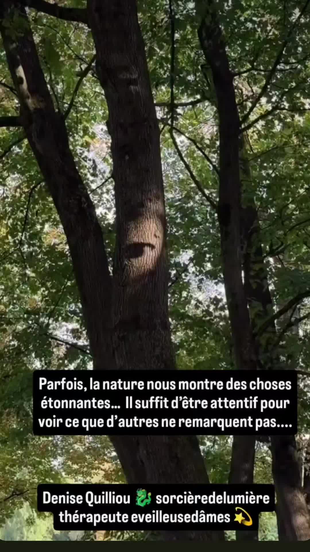 @Lauret Denise ✨🐉✨