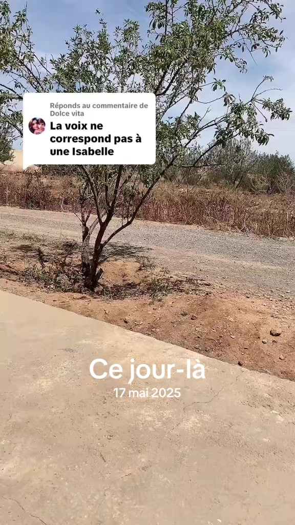 @Isabelle 🇫🇷 ma hijra en 🇩🇿