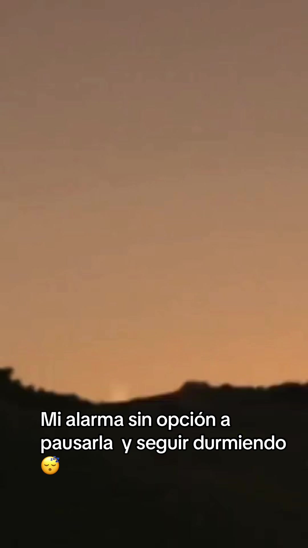 @Tania Matus
