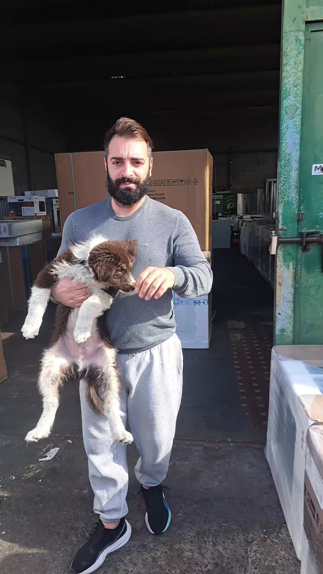 @G.R.ELETTRODOMESTICI S.R.L.