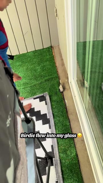 @Mika