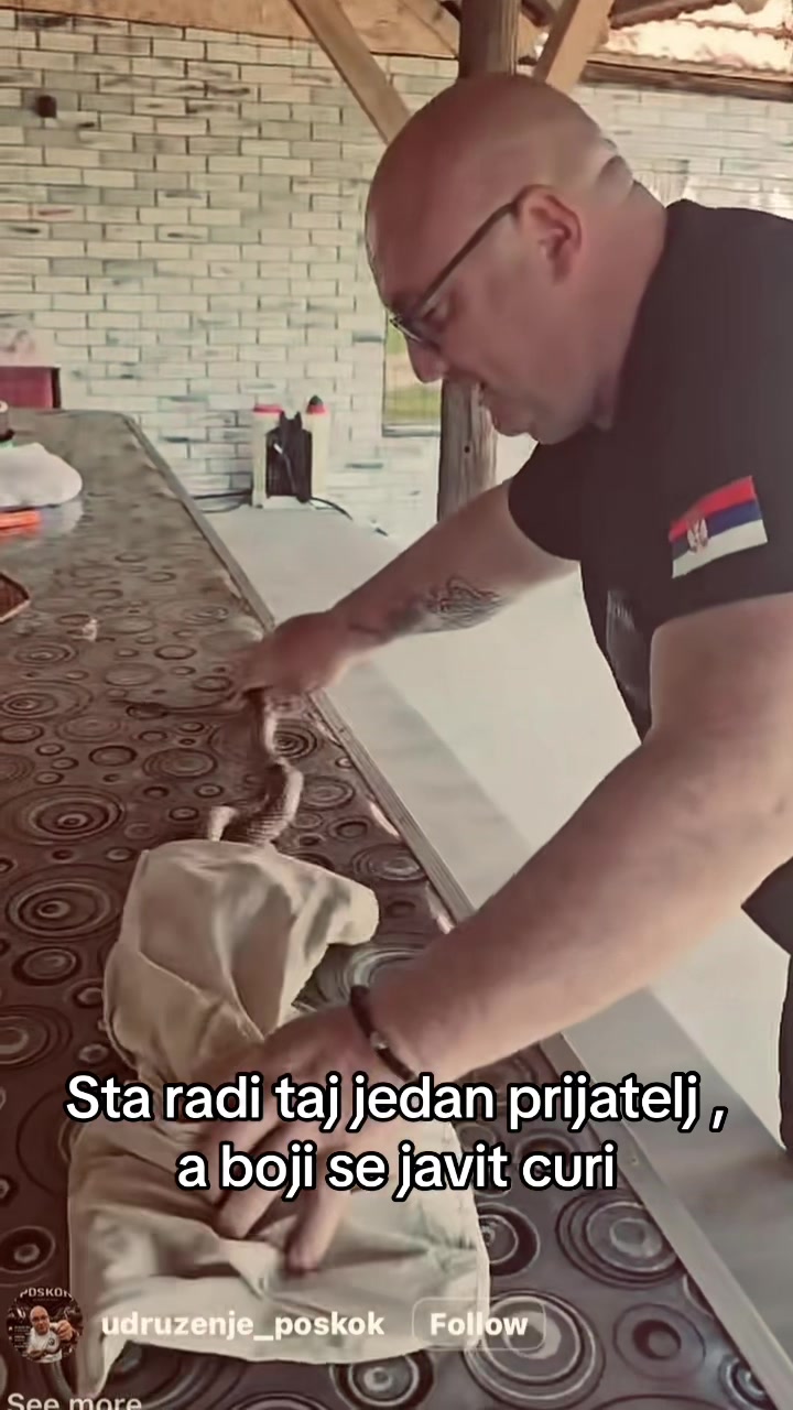 @Zoran Begic