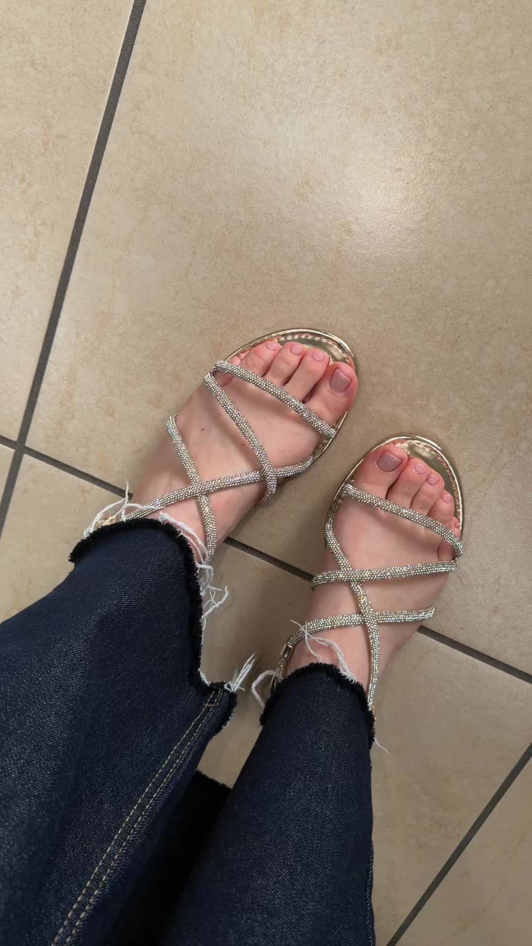 @La Gatta Shoes