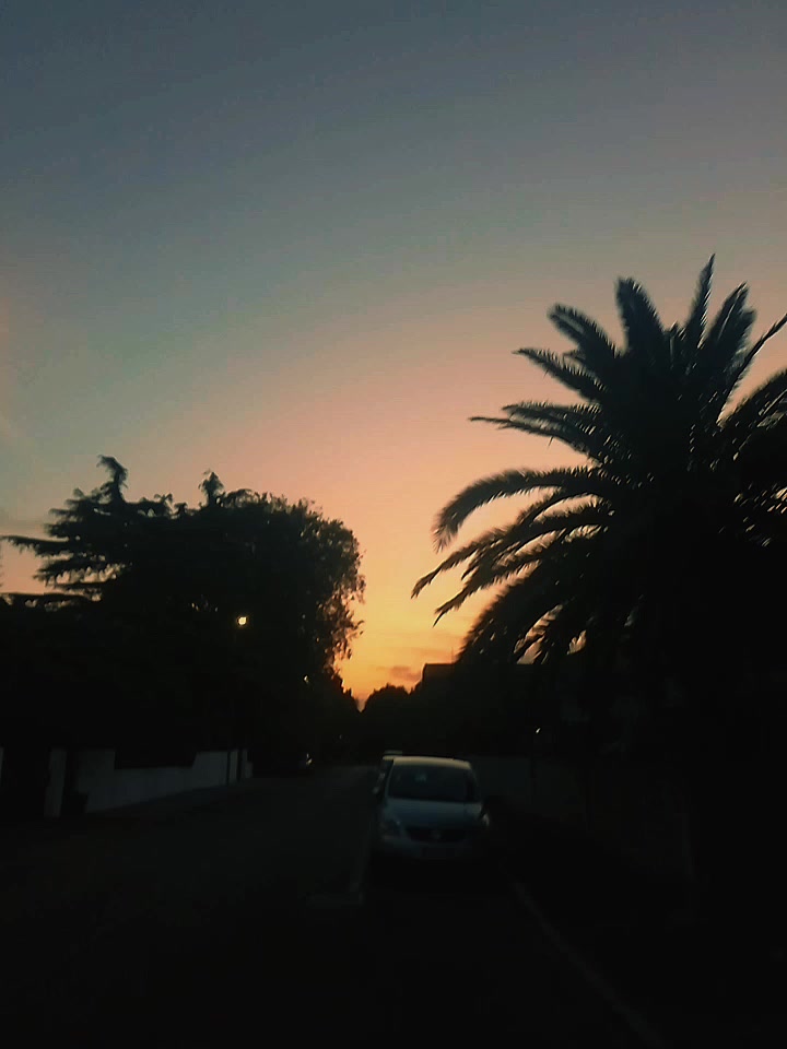 @𝐴𝑚𝑦_𝐸𝑚𝑢𝑐𝑐𝑖𝑎010