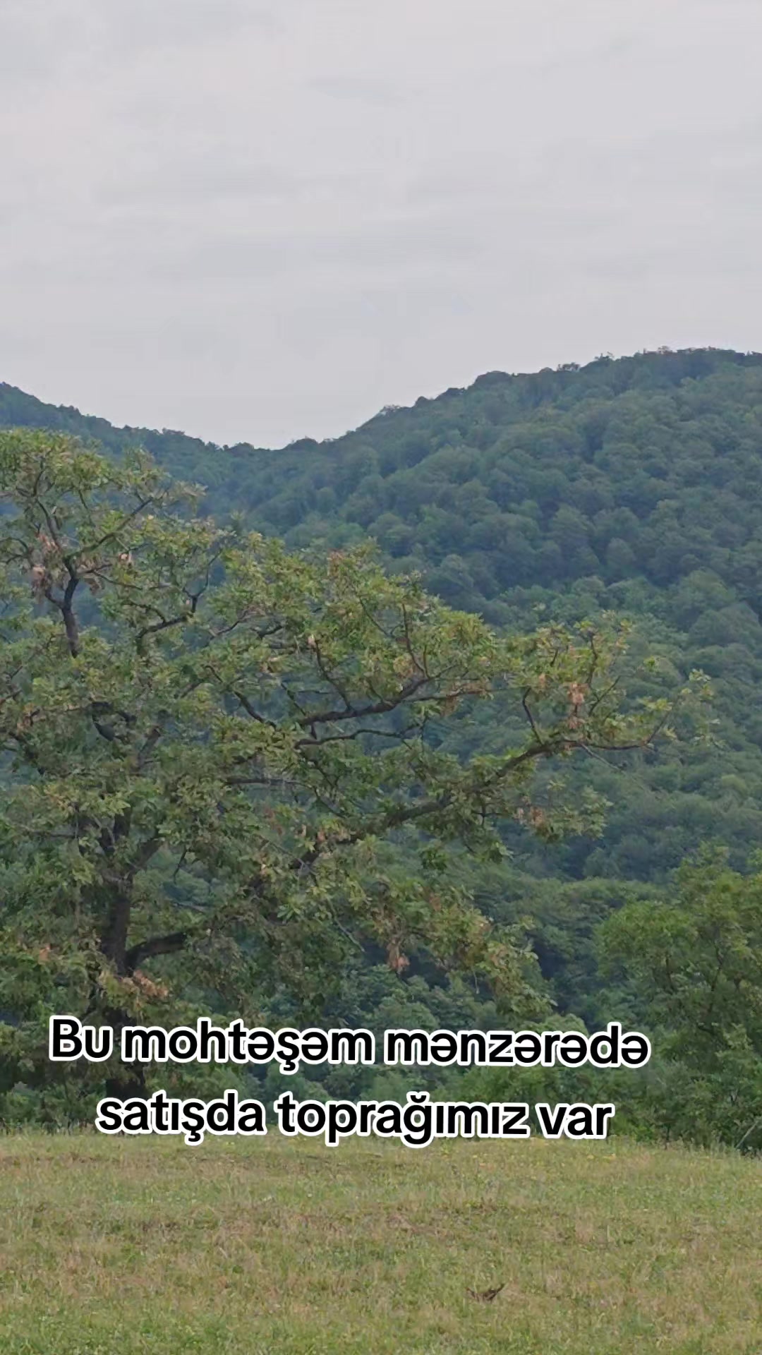 @qebeleturizm