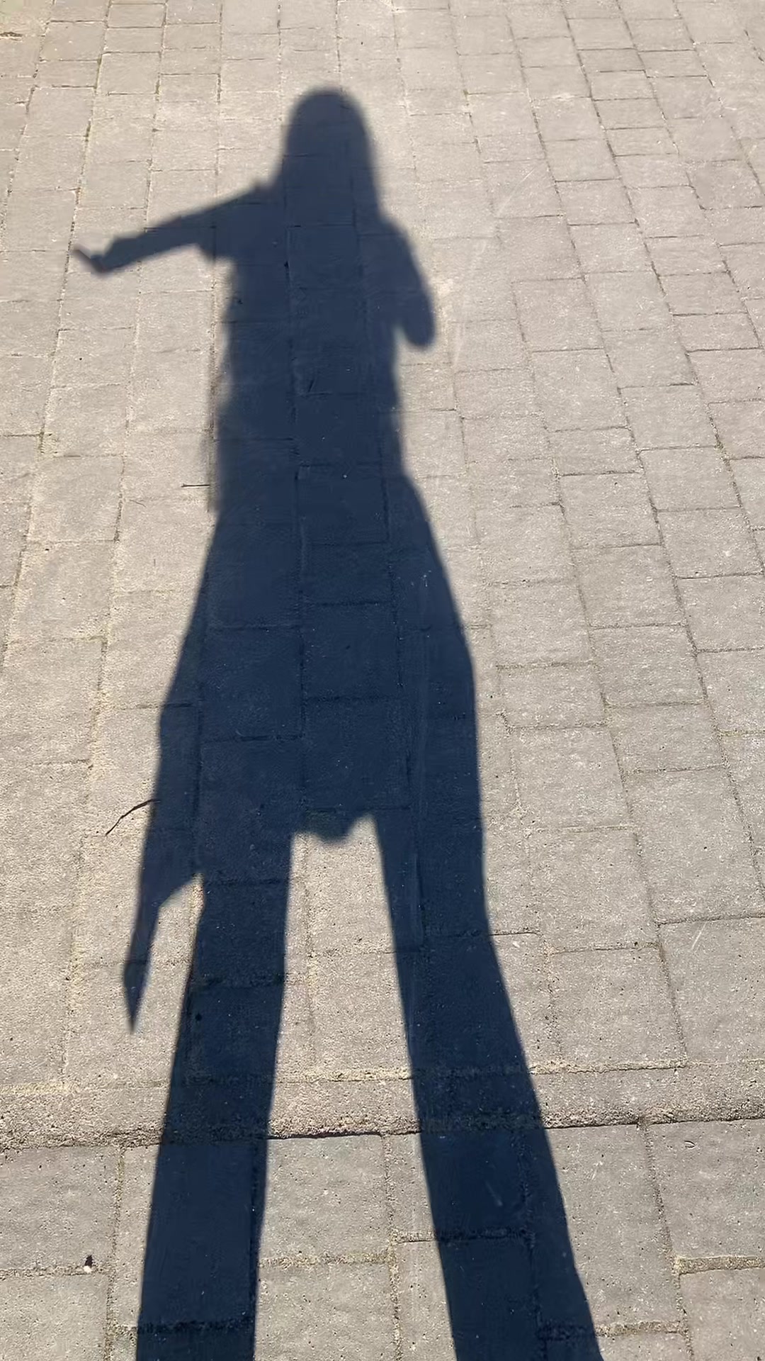 @🤸🏻♀️🎤𝓜𝓪𝓻𝓽𝓲🎤🤸🏻♀️