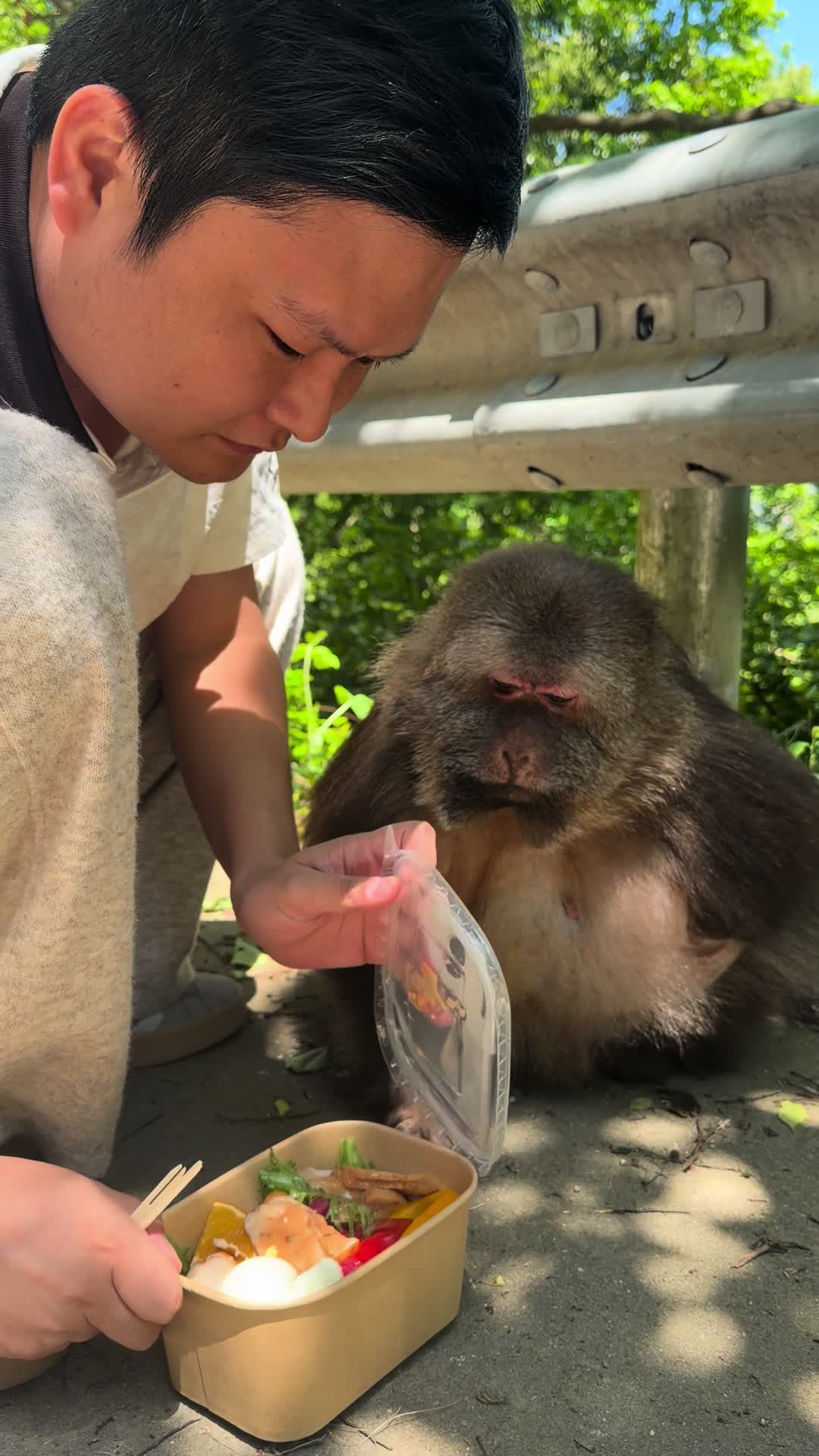@xingxing.themonkey