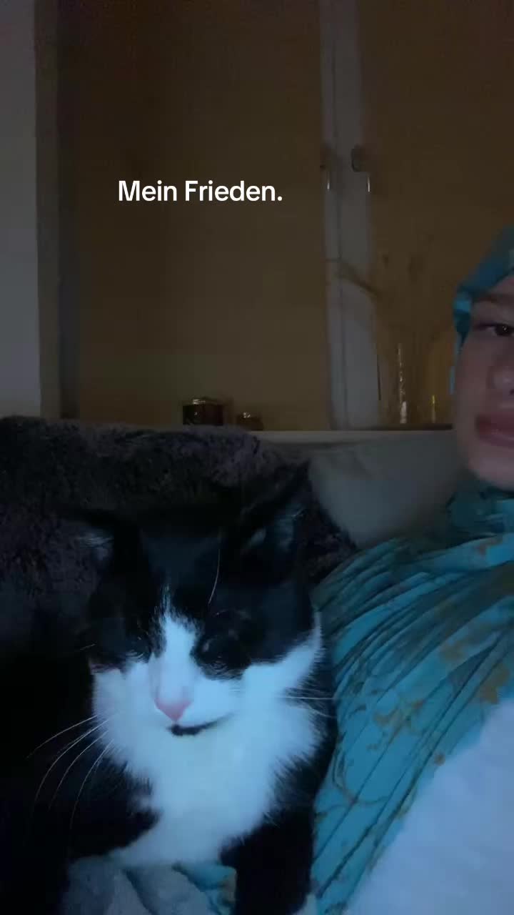 @celinn94