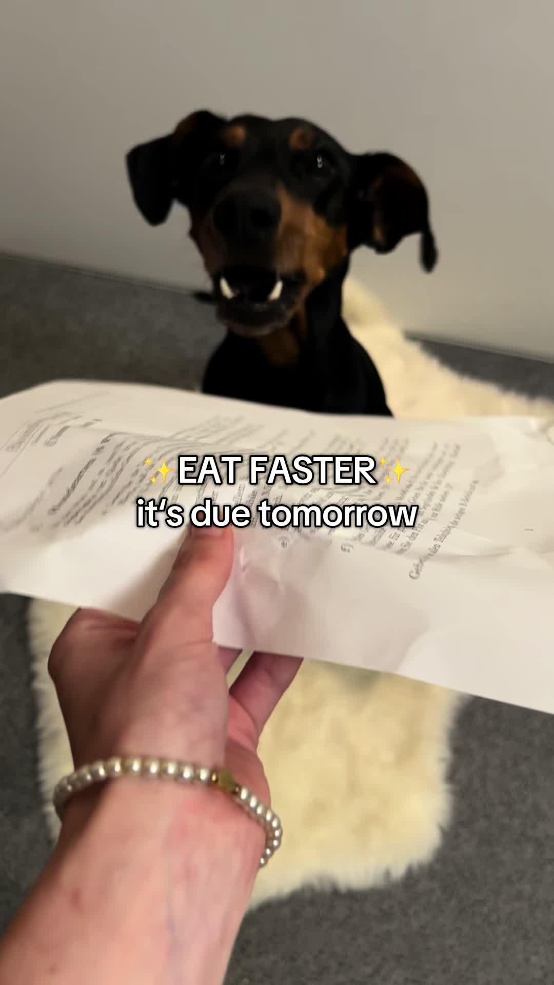 @AlvaTheHotDog
